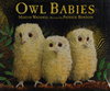 Owl Babies