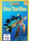 Sea Turtles