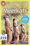 Meerkats