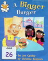 A Bigger Burger