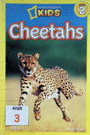 Cheetahs