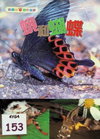 蝴蝶和蛾