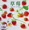 草莓
