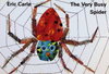 The Very Busy Spider