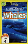 Great Migrations Whales