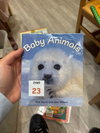 Baby Animals