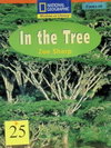 In the Tree