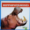 Hippopotamuses