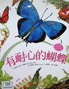 有耐心的蝴蝶