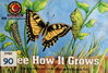 See How It Grows