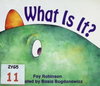 What Is It?