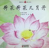 荷花荷花几月开