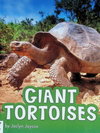 Giant Tortoises